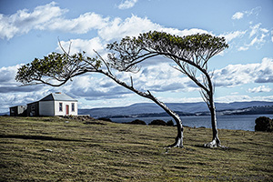 White Cottage